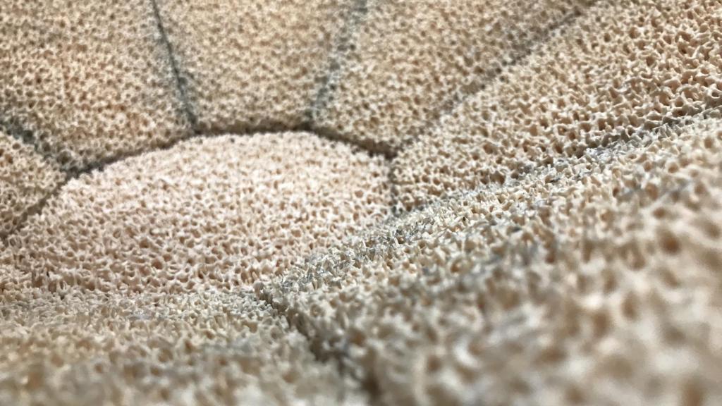 Estructura porosa  del interior