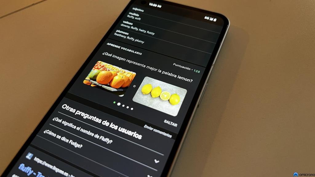 Juego de Google Translate