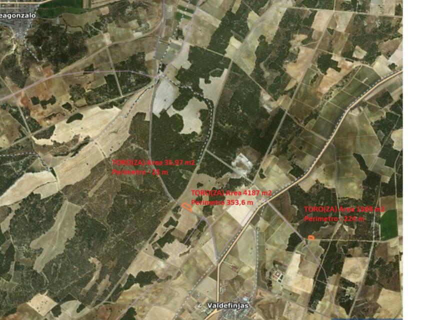 Focos simultaneos en Toro