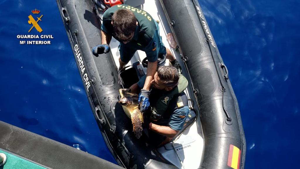 El dispositivo de rescate de la Guardia Civil.