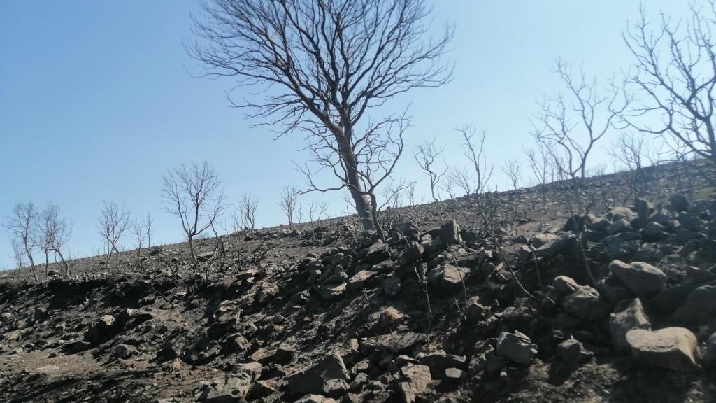 Imagen tras el incendio de la Sierra de la Culebra