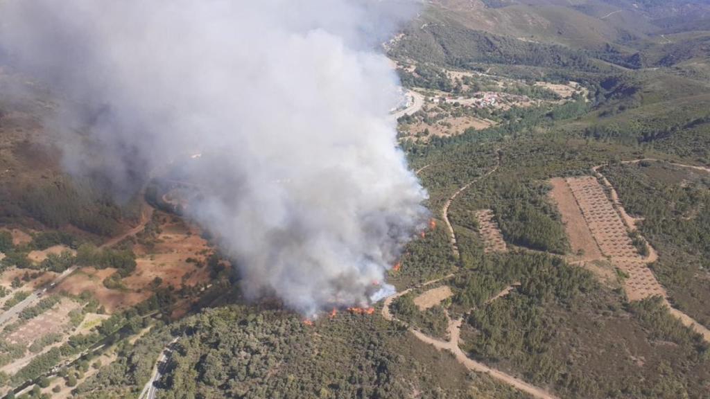 Con la colaboración de Minsait