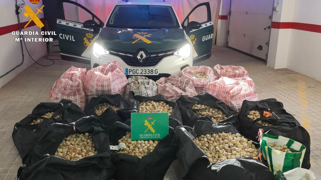 447 kilos de cápsulas de adormidera