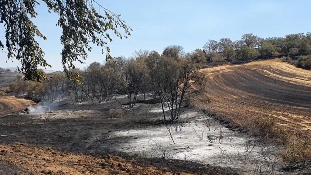 Incendio de Humanes (Guadalajara). Foto: Europa Press.