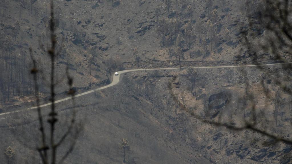 Parajes devastados en los incendios en O Courel.