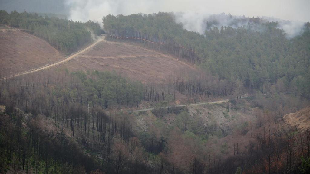 Incendio en Quiroga (Lugo).