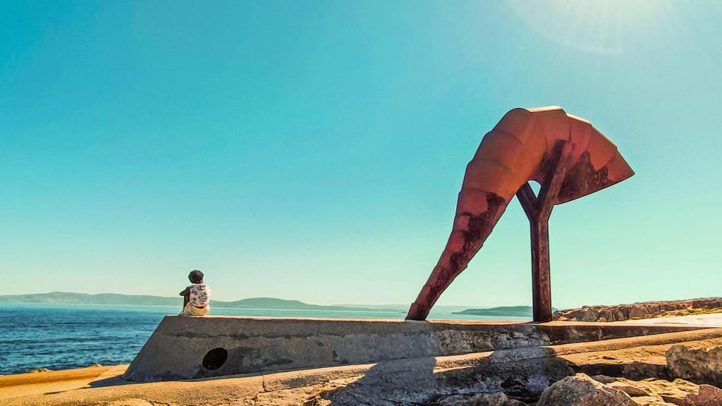Caracola en Punta Herminia, A Coruña