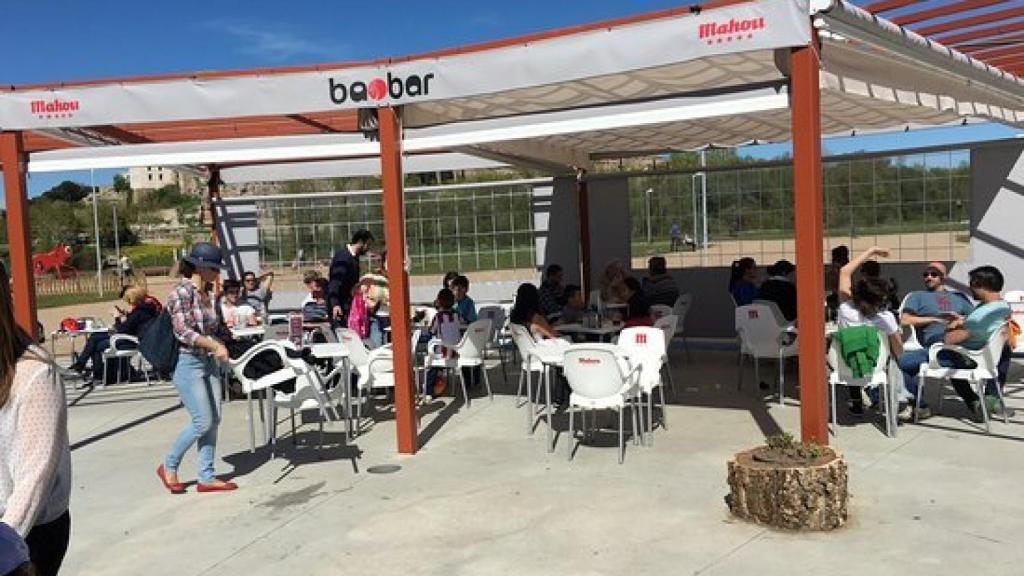 Baobar parque Würzburg en Salamanca