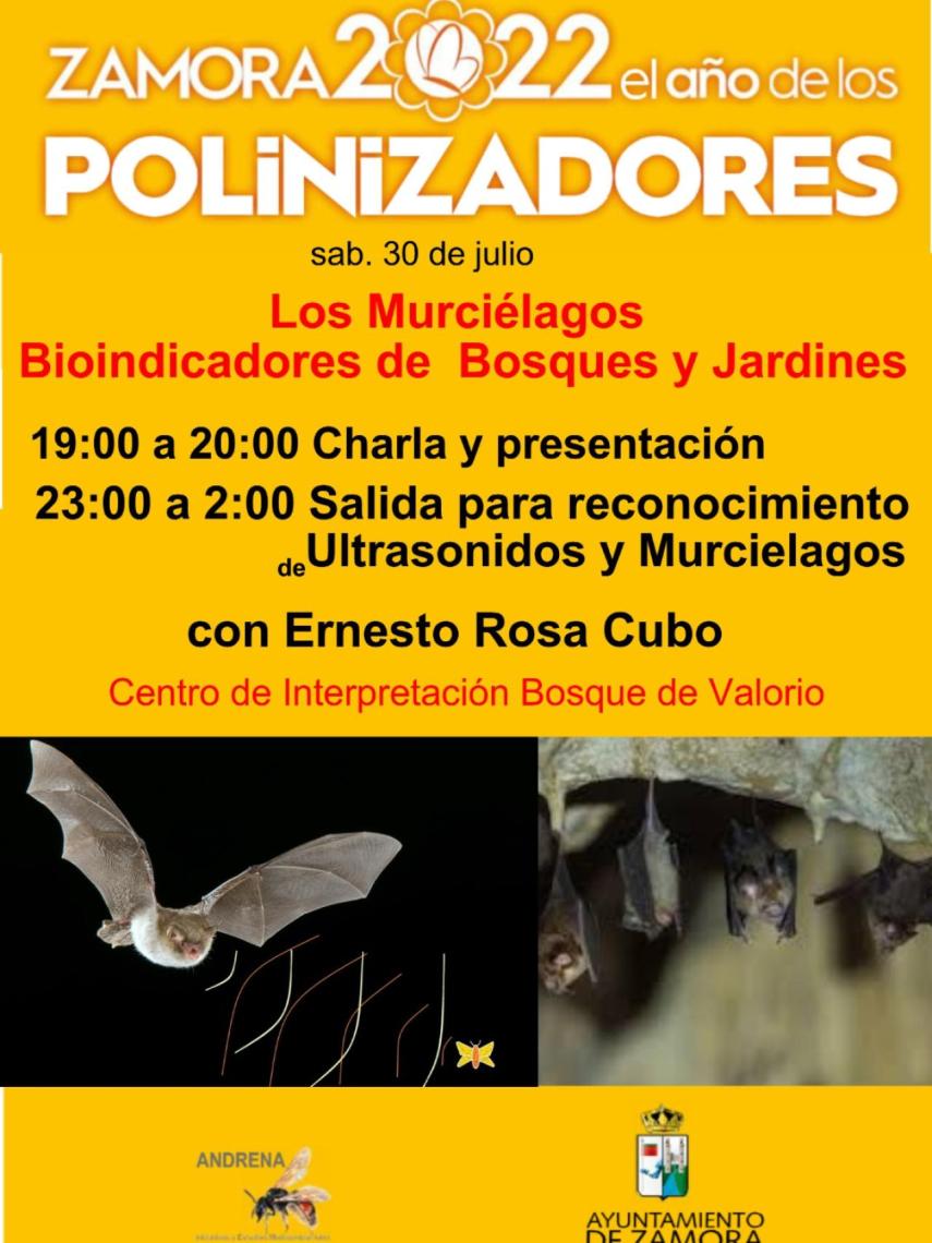 Cartel Polinizadores Murciélagos