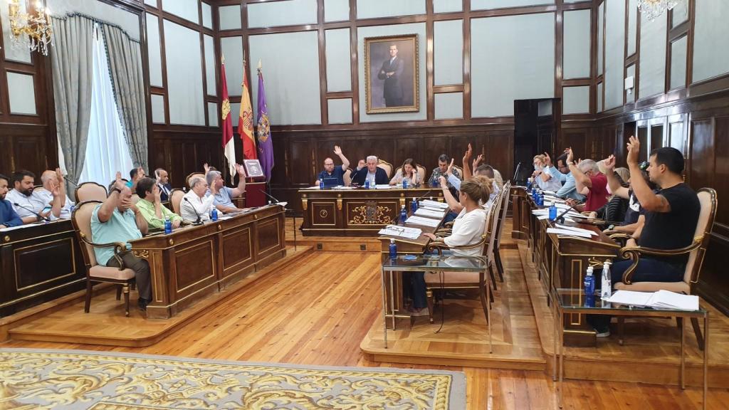 Votación Observatorio de la Despoblación