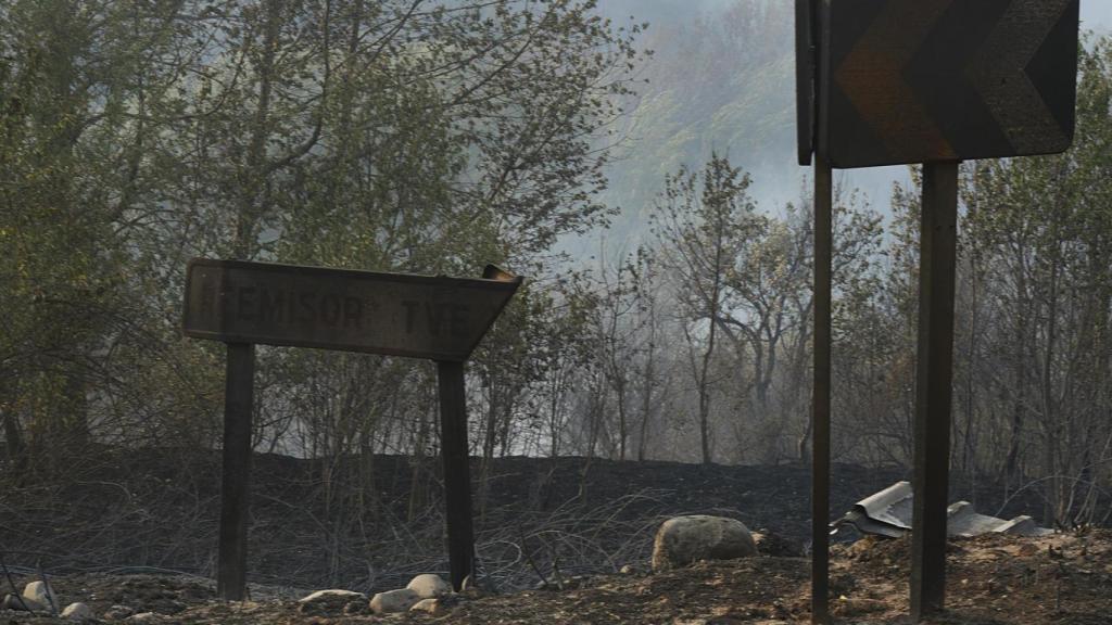 Zona vegetal afectada por el incendio en O Barco de Valdeorras.