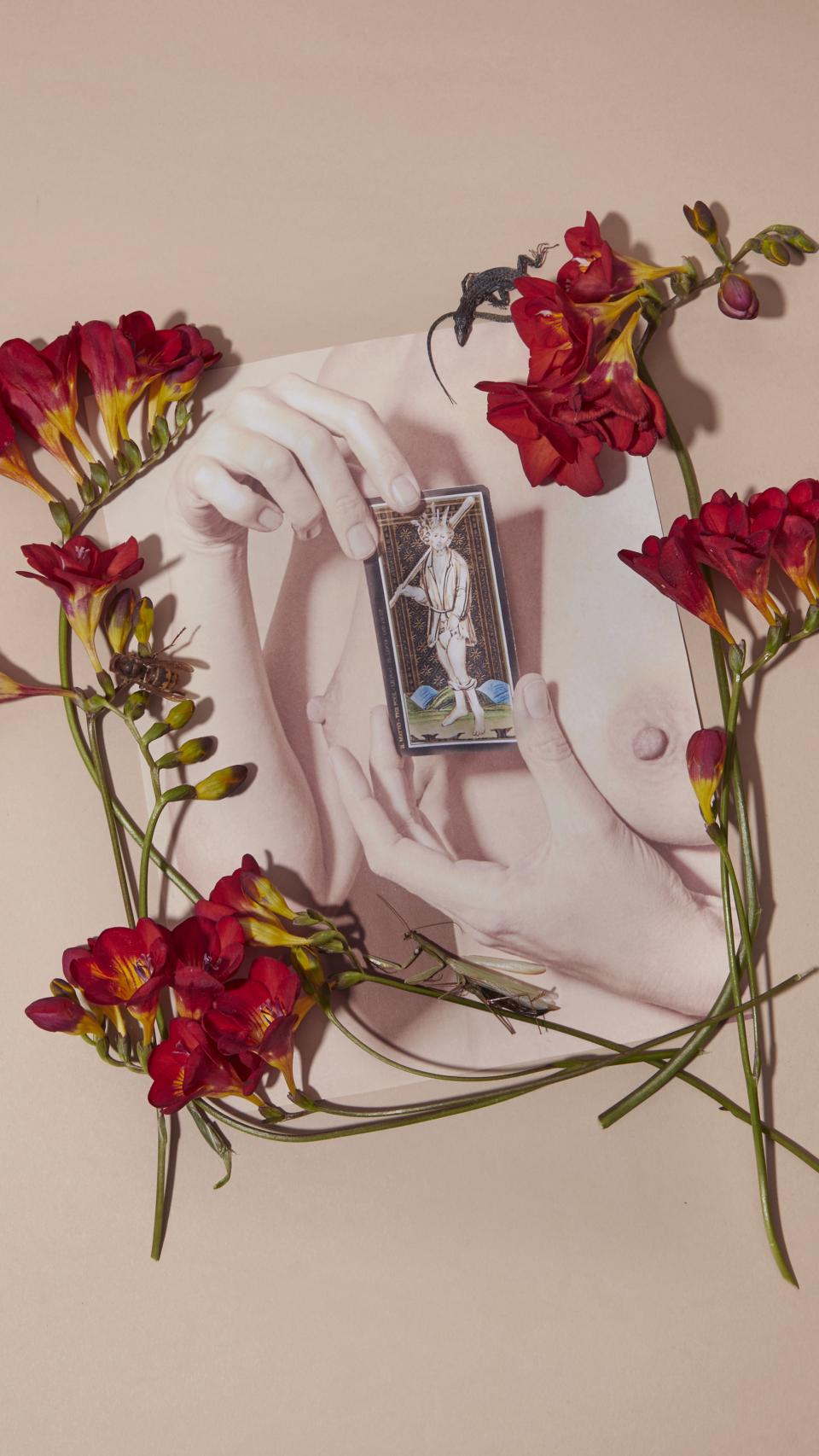 El loco, baraja Visconti Sforza