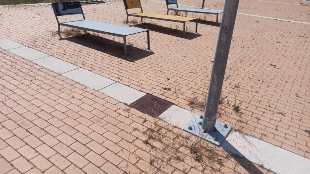 La hierba crece entre las baldosas