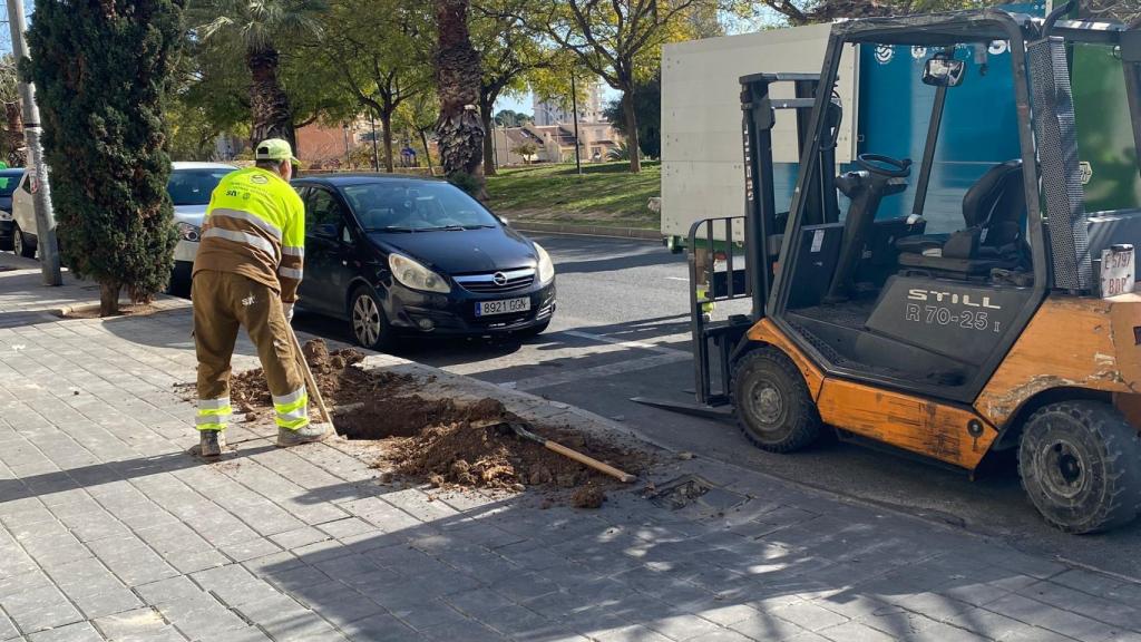Trabajos de la concesionaria.