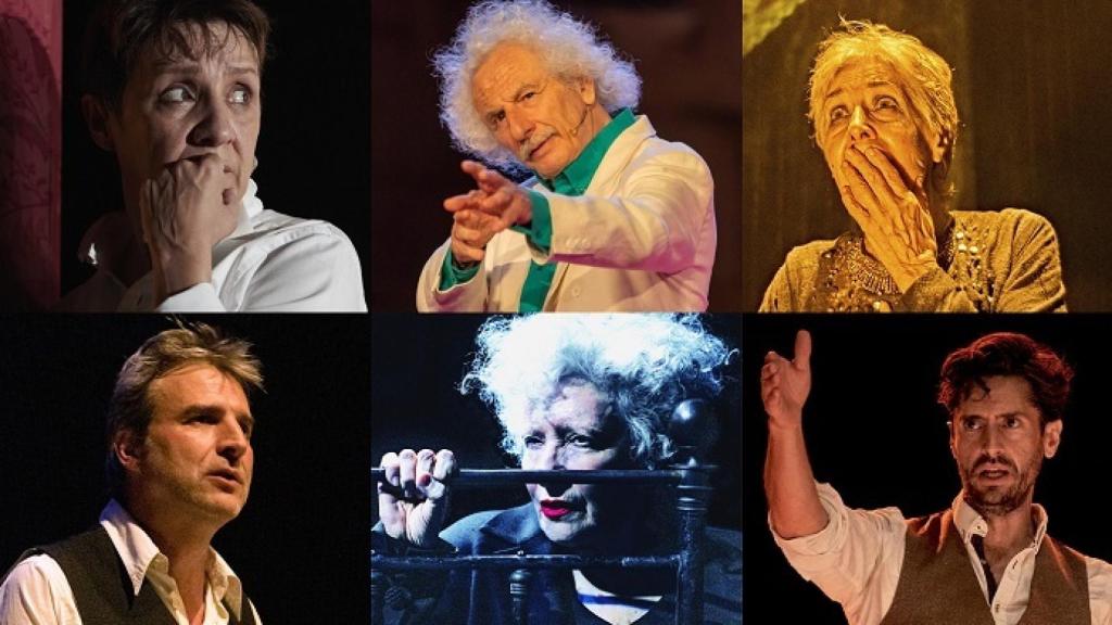 Blanca Portillo ('Silencio'), El Brujo ('Los dioses y Dios'), Concha Velasco ('Reina Juana'), Alberto San Juan ('Lorca en Nueva York'),  Magüi Mira ('Molly Bloom') y Juan Diego Botto ('Una noche sin luna')