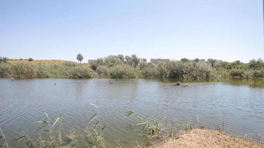Vista de los edificios que rodean El Clot de Galvany en Elche.