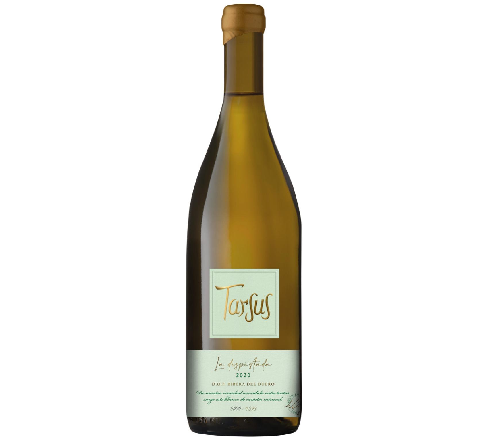 Tarsus La Despistada 2020