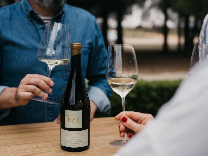 El blanco misterioso de Bodegas Tarsus