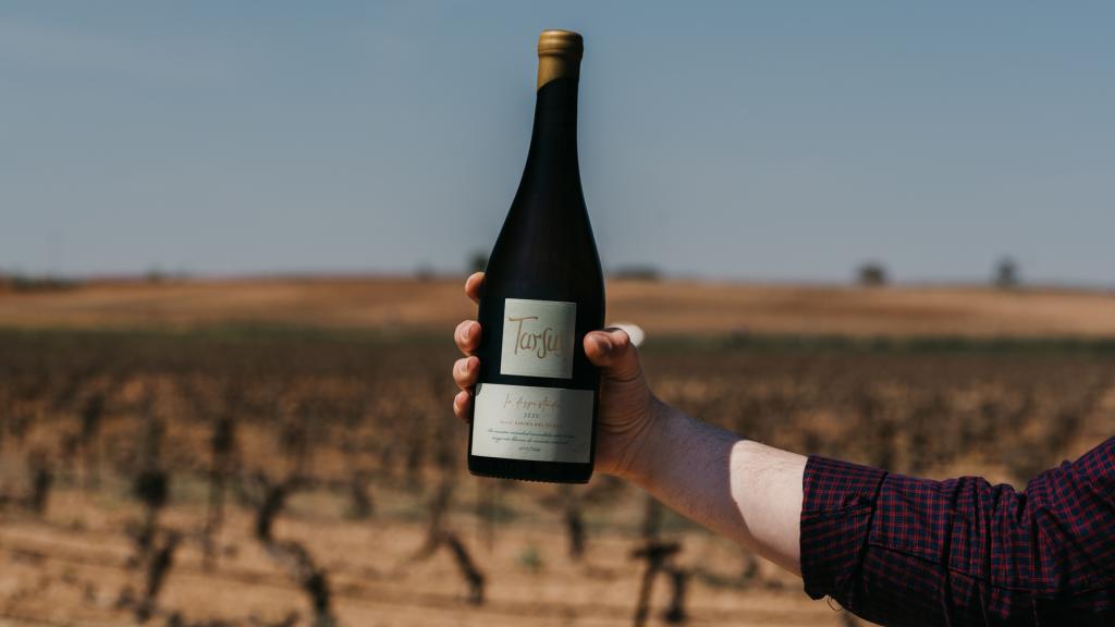 La Despistada, el albillo mayor de Bodegas Tarsus