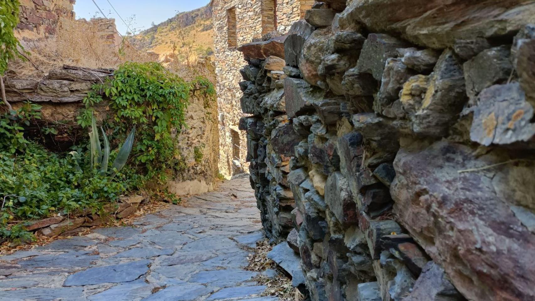 Cámara principal del Oppo Find X5 Lite en exteriores