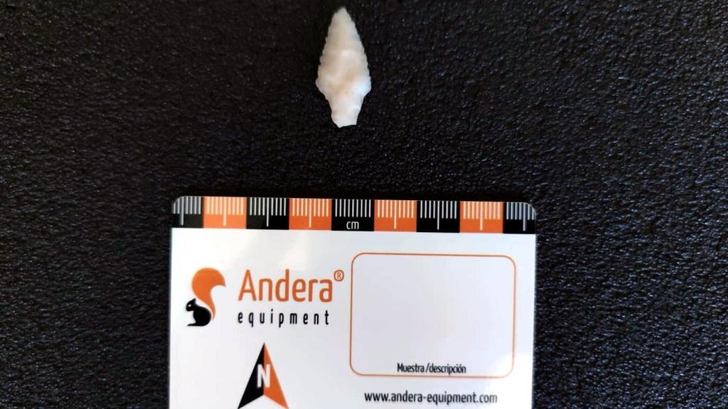 Una de las piezas halladas en la Cueva de los Toriles en Carrizosa (Ciudad Real).