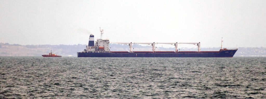 Barco 'Razoni', con bandera de Sierra Leona, con miles de toneladas de trigo ucraniano.