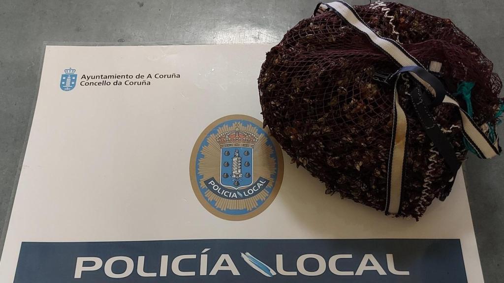 Percebes intervenidos en la avenida de Buenos Aires de A Coruña.