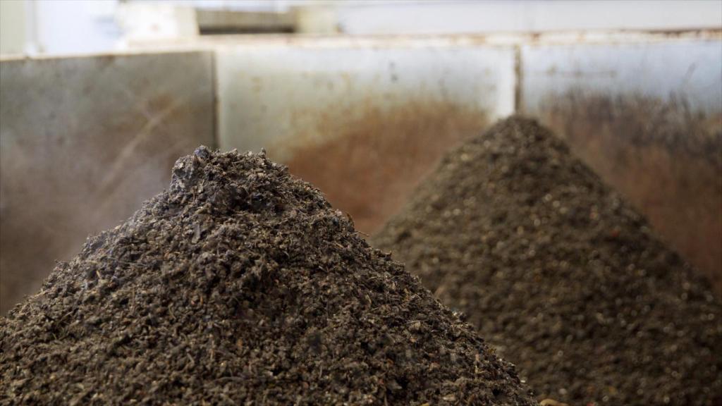 Biomasa obtenida tras aplicar la tecnología de Econward.