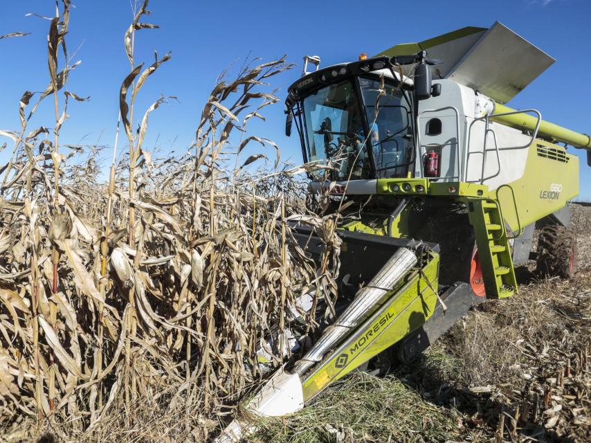 Una explotación agropecuaria en la provincia de León.