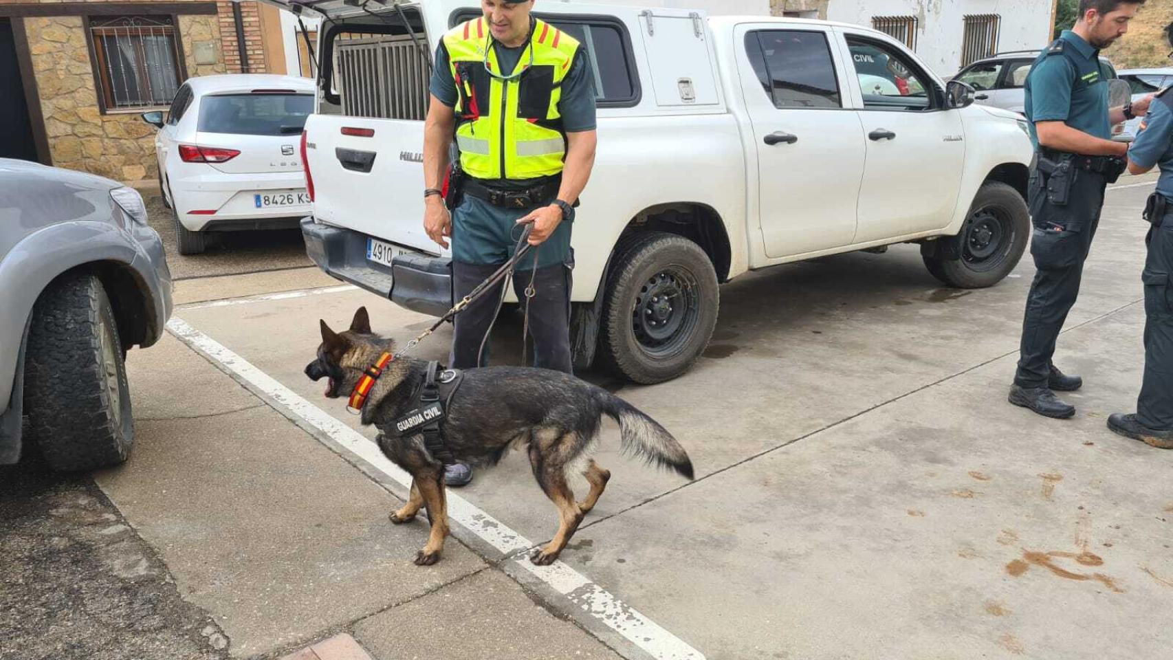 La Unidad Cinológica de la Guardia Civil se incorpora a la búsqueda