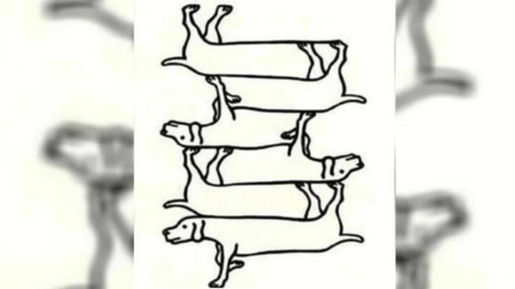 Esta es la imagen del acertijo.