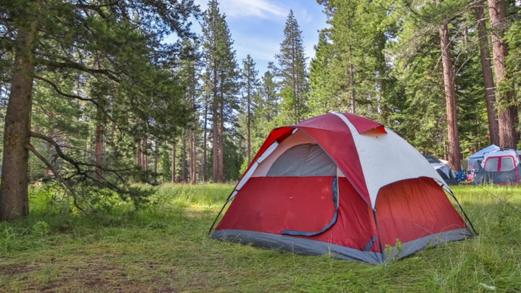 Tienda de campaña, trucos de limpieza para dejarla como nueva. 🧹
