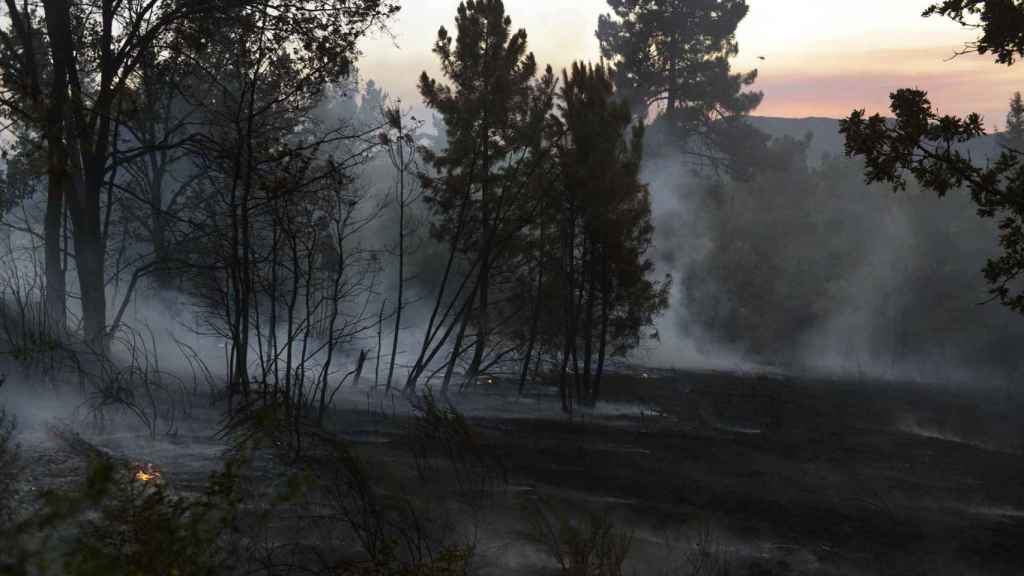 Fuego en Ábedes, en Verín (Ourense).