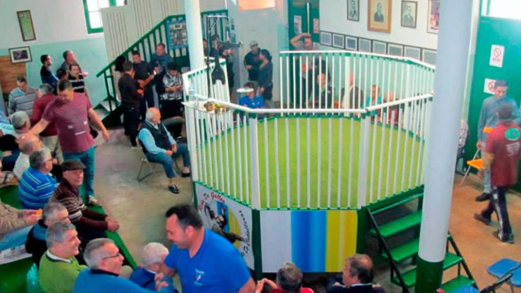 Un recinto donde se celebran peleas de gallos en Canarias.