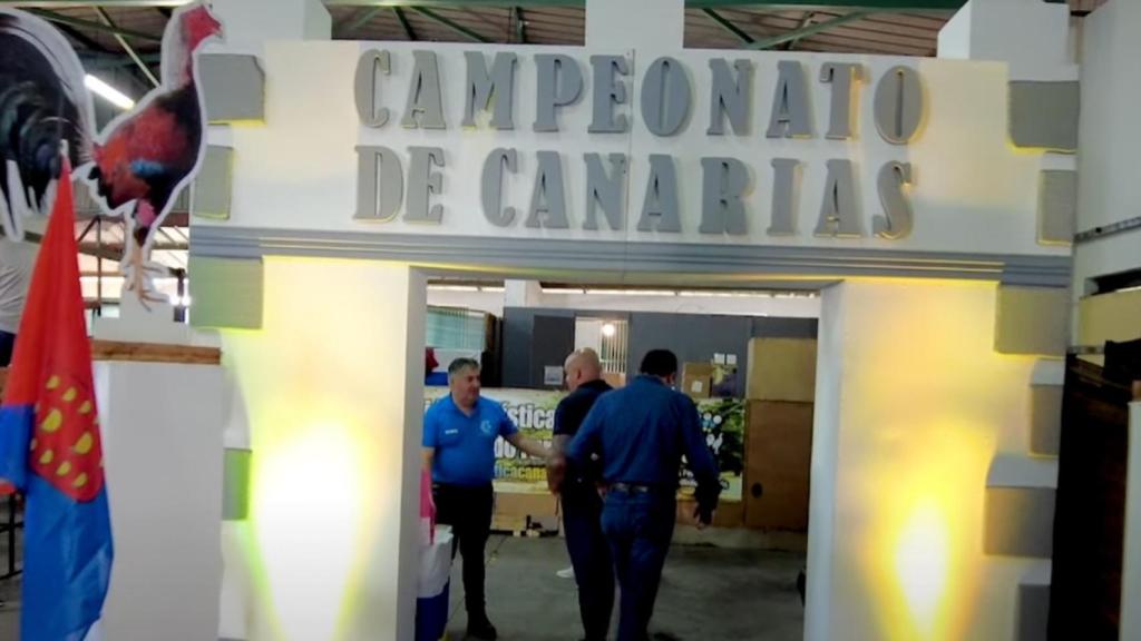 Entrada a uno de los campeonatos de peleas de gallos que se celebran en Canarias.