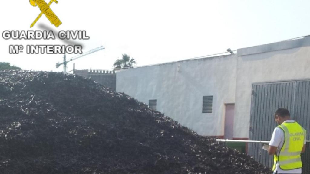 Parte del fruto de algarrobo incautado por la Guardia Civil.