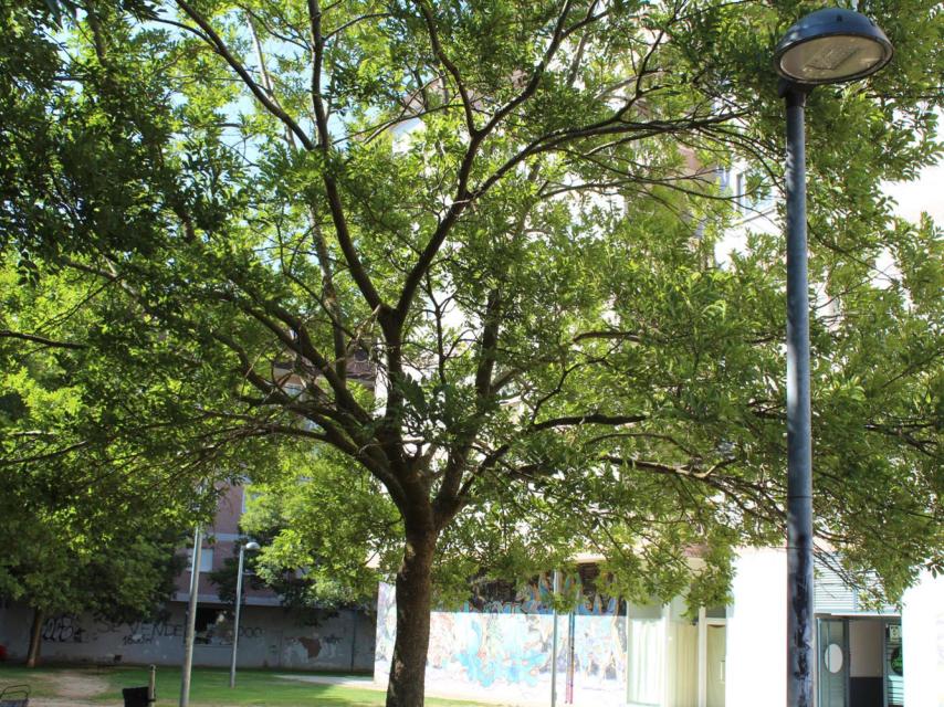 Nuevo alumbrado en Zamora