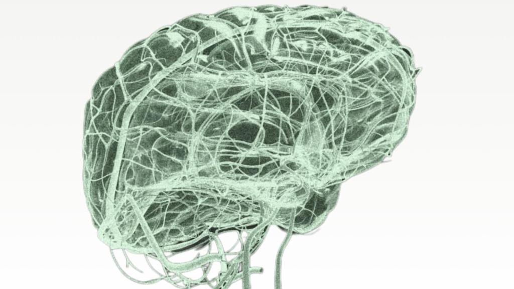 El implante del chip tuvo lugar en julio y los médicos lo califican de un éxito total.