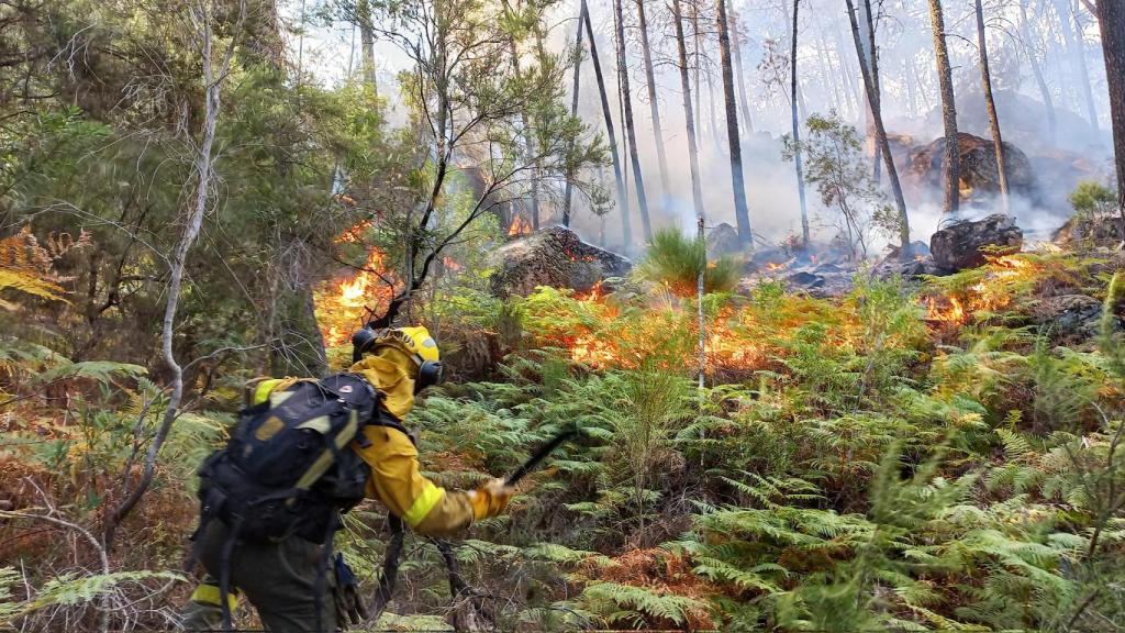 Incendio en Santa Cruz del Valle