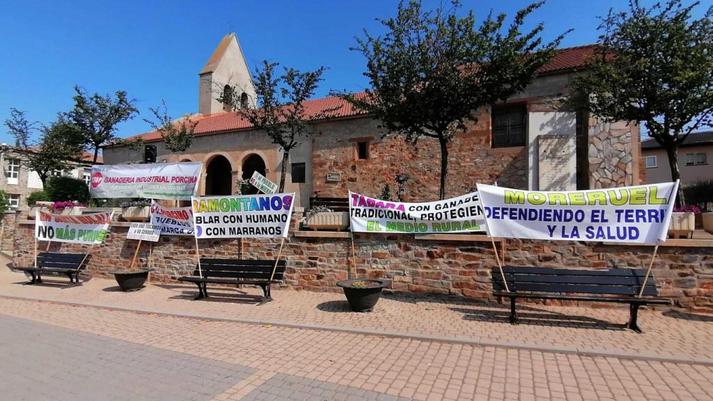 Concentración en Faramontanos de Tábara contra la macrogranja