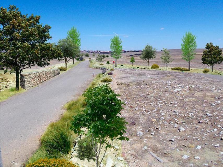Imagen de una zona verde en Salamanca.