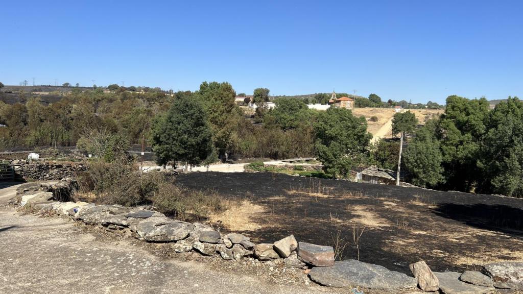 Una tierra quemada por el incendio de Losacio