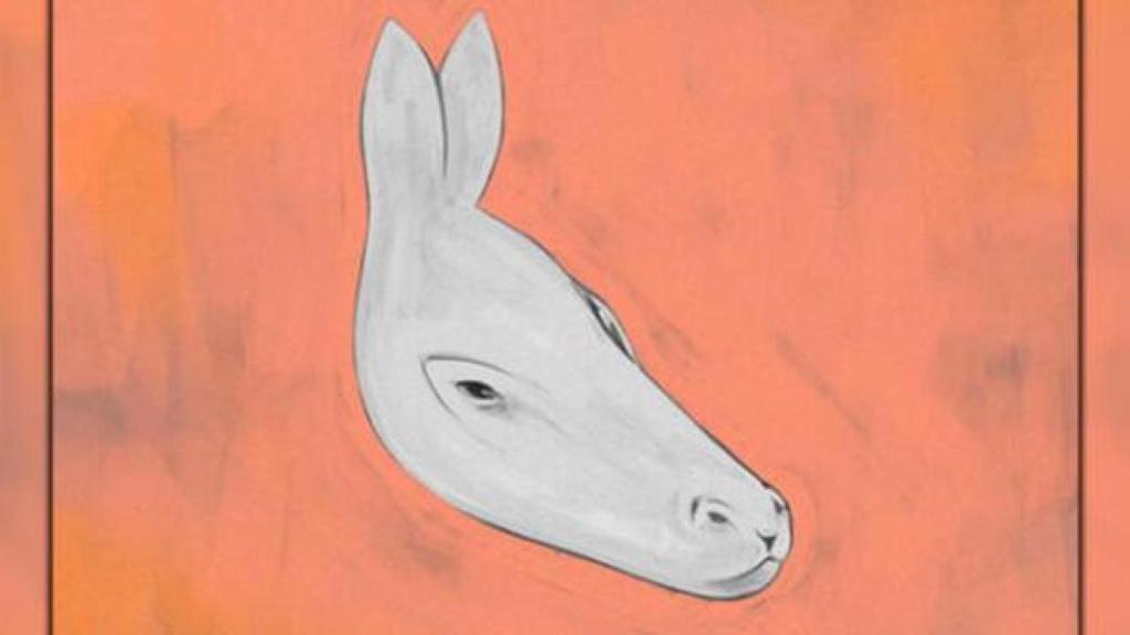 ¿Qué es lo primero que ves en esta imagen?