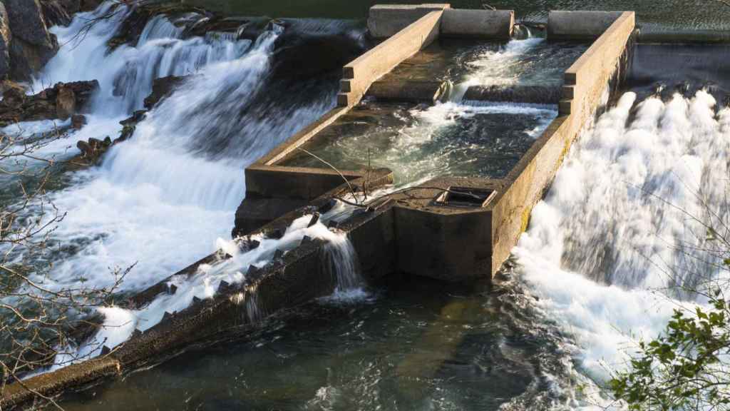Embalse de Bora en el río Lérez, en Pontevedra.