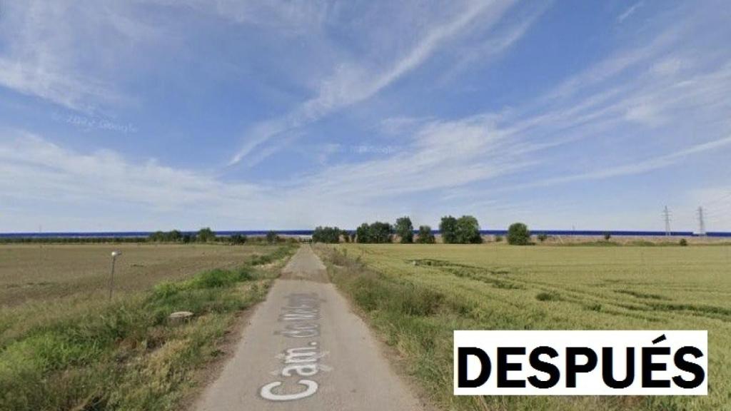 Imagen tomada después de llevar a cabo la tala.