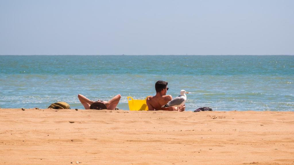 Imagen de archivo de una playa.