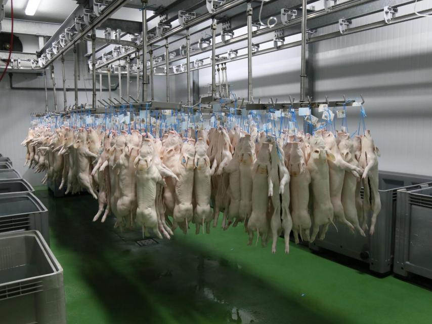 Imagen de archivo del matadero de Tabladillo, en Segovia.