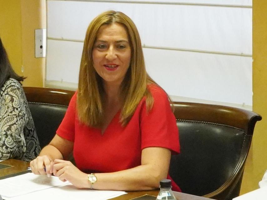 La delegada del Gobierno, Virginia Barcones