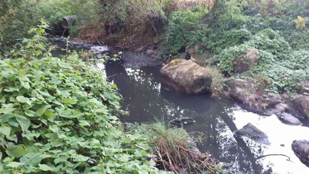Vertidos al río Loña (Ourense).