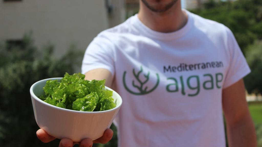 La startup ha logrado sacar al mercado una primera línea de cosmética facial a base de algas, financiada a través de 'crowdfunding'.